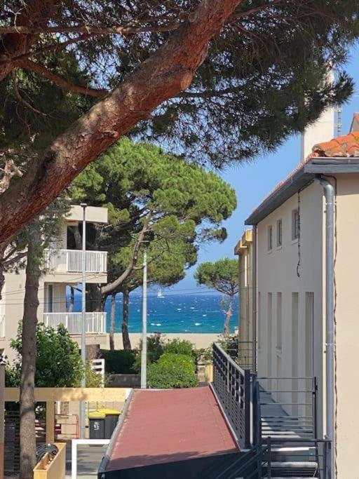 F3 Classe Meuble Tourisme "Gites De France" A 80 Metres De La Plage Argelès-sur-Mer Zewnętrze zdjęcie